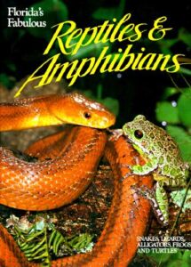 Florida's Fabulous Reptiles and Amphibians
