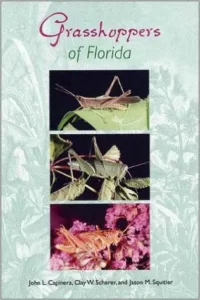 Grasshoppers of Florida by John l Capinera, Clay Whitney Scherer, and Jason Squitier