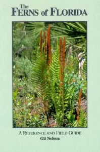 The Ferns of Florida by Gil Nelson