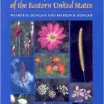 Wildflowers of the Eastern United States by Wilbur H. Duncan and Marion B. Duncan